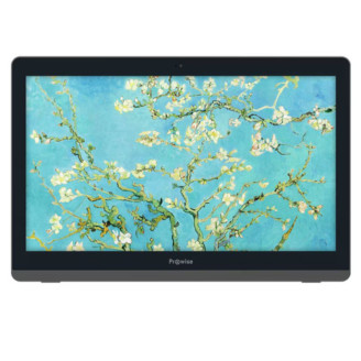 Tableta All In One ProWise PW.1340020001, Intel Pentium Gold 4415U 2.3GHz, 4GB DDR4, 128GB SSD, Baterie, Wi-Fi, Bluetooth, 21,5 inch TouchScreen Full HD + Windows 10 Pro